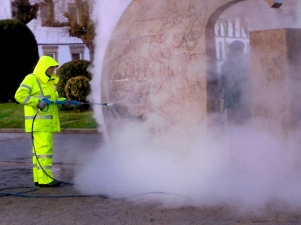 Best Roof Pressure Washing  in Stanley, WI