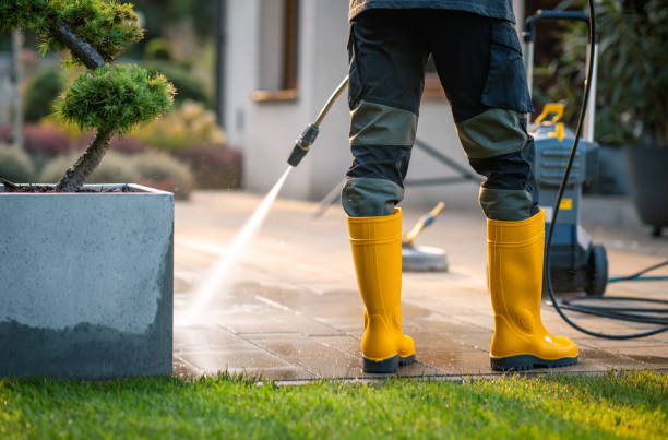 Best Roof Power Washing Services  in Stanley, WI